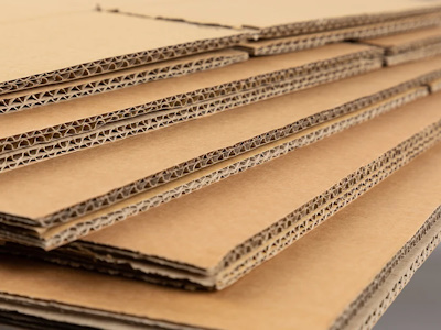 2023 Packaging Trends